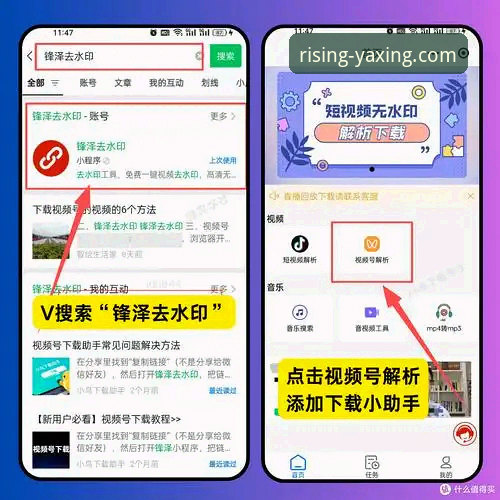 新手如何快速上手亚星官网手机版？从注册到下载的完整指南